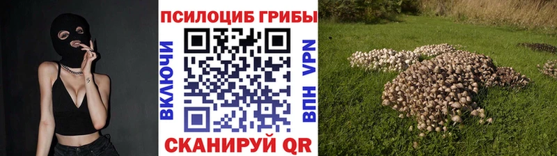 Галлюциногенные грибы Cubensis MEGA как зайти Саратов